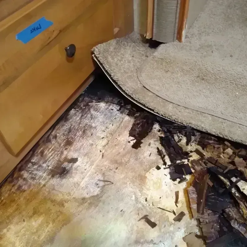 Wood Floor Water Damage in Golden Shores, AZ